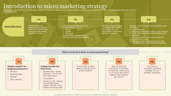 Marketing Techniques For Increasing Target Audience Introduction To Micro Marketing Strategy Professional PDF