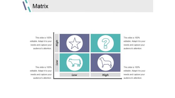 Matrix Ppt PowerPoint Presentation Infographics Graphics