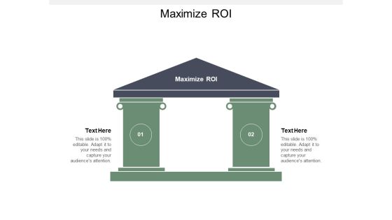 Maximize ROI Ppt PowerPoint Presentation Infographics Examples Cpb