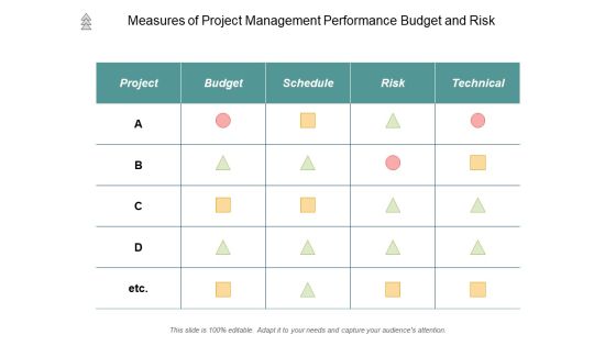 Measures Of Project Management Performance Budget And Risk Ppt PowerPoint Presentation Outline Graphics Design