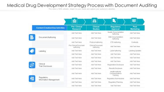 Medical Drug Development Strategy Process With Document Auditing Ppt PowerPoint Presentation Gallery Show PDF Medical Drug Development Strategy Process With Document Auditing Ppt PowerPoint Presentation Gallery Show PDF