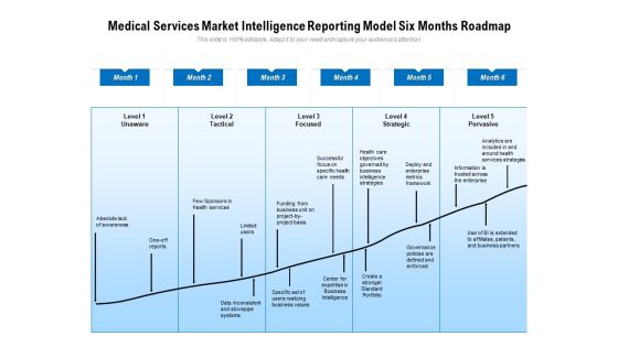 Medical Services Market Intelligence Reporting Model Six Months Roadmap Diagrams Medical Services Market Intelligence Reporting Model Six Months Roadmap Diagrams