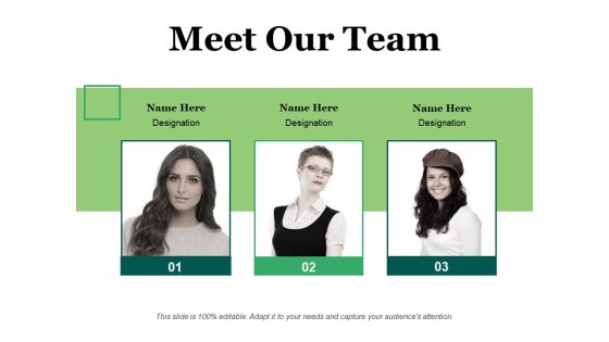 Meet Our Team Ppt PowerPoint Presentation File Graphics Tutorials Meet Our Team Ppt PowerPoint Presentation File Graphics Tutorials