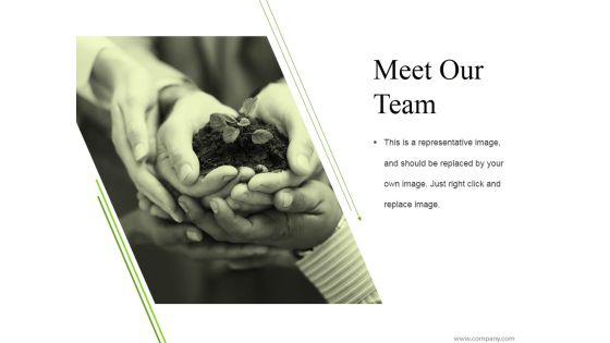 Meet Our Team Ppt PowerPoint Presentation Pictures Vector Meet Our Team Ppt PowerPoint Presentation Pictures Vector