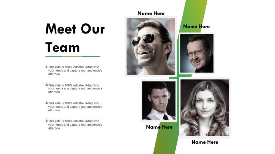 Meet Our Team Ppt PowerPoint Presentation Summary Good Meet Our Team Ppt PowerPoint Presentation Summary Good