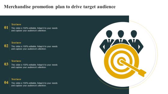 Merchandise Promotion Plan To Drive Target Audience Demonstration PDF