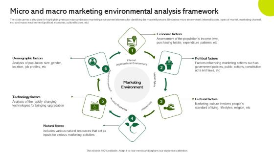 Micro And Macro Marketing Environmental Analysis Framework Sample PDF