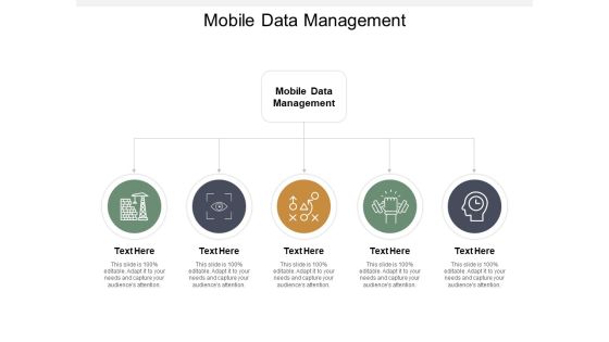 Mobile Data Management Ppt PowerPoint Presentation Slides Show Cpb