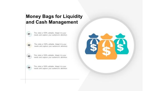 Money Bags For Liquidity And Cash Management Ppt PowerPoint Presentation Infographics Graphics Money Bags For Liquidity And Cash Management Ppt PowerPoint Presentation Infographics Graphics