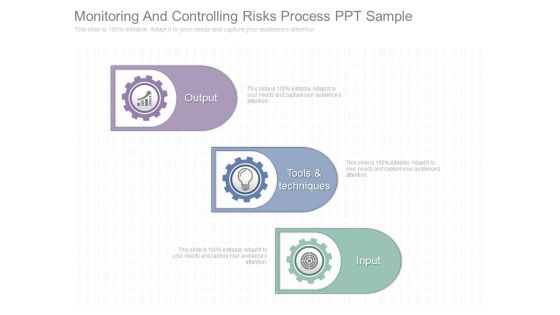 Monitoring And Controlling Risks Process Ppt Sample Monitoring And Controlling Risks Process Ppt Sample