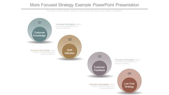 More Focused Strategy Example Powerpoint Presentation More Focused Strategy Example Powerpoint Presentation