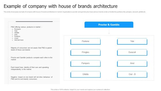 Multi Brand Launch Strateic Plan Example Of Company With House Of Brands Architecture Mockup PDF Multi Brand Launch Strateic Plan Example Of Company With House Of Brands Architecture Mockup PDF