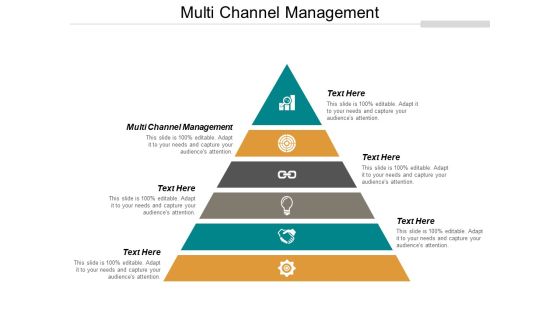 Multi Channel Management Ppt PowerPoint Presentation Layouts Topics Cpb