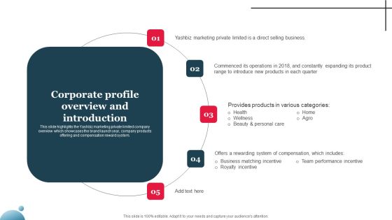 Multi Level Marketing Company Outline Corporate Profile Overview And Introduction Themes PDF
