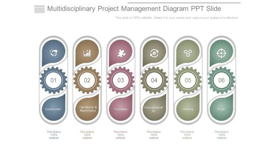 Multidisciplinary Project Management Diagram Ppt Slide Multidisciplinary Project Management Diagram Ppt Slide