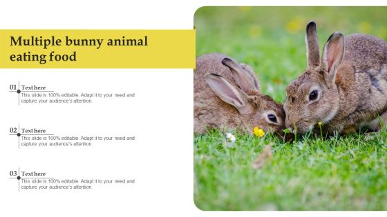 Multiple Bunny Animal Eating Food Themes PDF