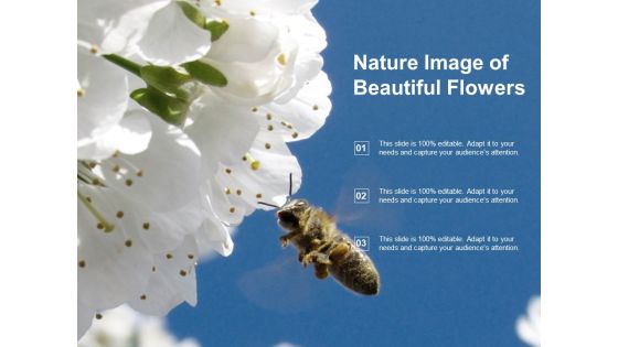Nature Image Of Beautiful Flowers Ppt PowerPoint Presentation Portfolio Slide Portrait Nature Image Of Beautiful Flowers Ppt PowerPoint Presentation Portfolio Slide Portrait