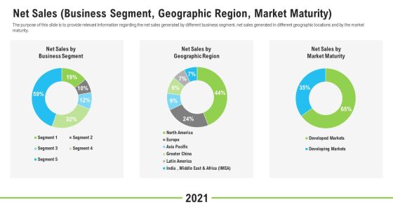 Net Sales Business Segment Geographic Region Market Maturity Ppt Outline Influencers PDF