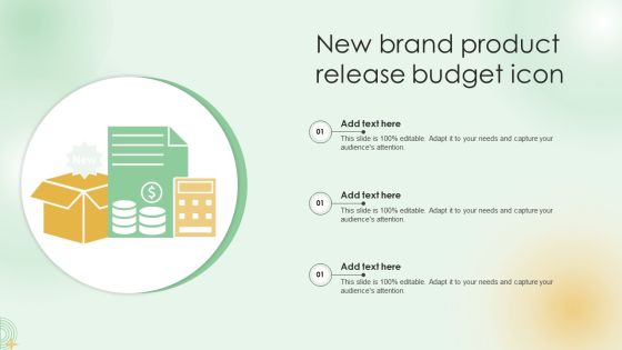 New Brand Product Release Budget Icon Summary PDF New Brand Product Release Budget Icon Summary PDF