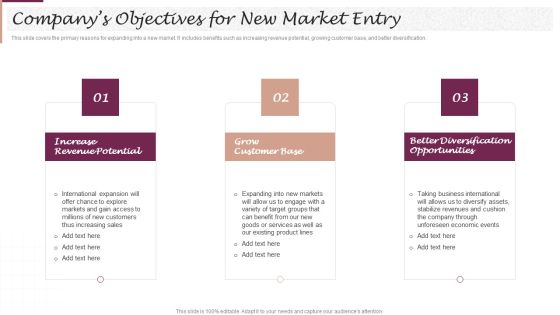 New Market Segment Entry Plan Companys Objectives For New Market Entry Rules PDF New Market Segment Entry Plan Companys Objectives For New Market Entry Rules PDF