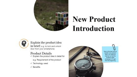 New Product Introduction Ppt PowerPoint Presentation Visual Aids Styles