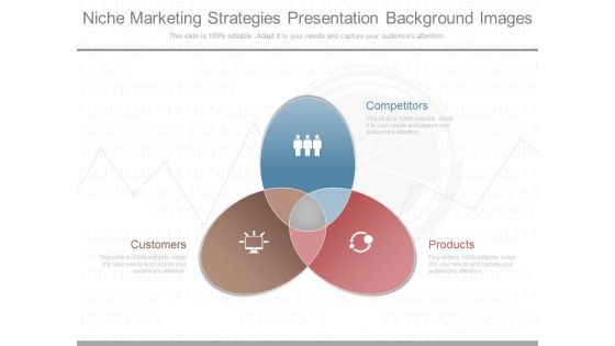 Niche Marketing Strategies Presentation Background Images Niche Marketing Strategies Presentation Background Images