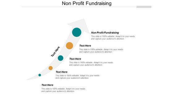 Non Profit Fundraising Ppt PowerPoint Presentation Icon Ideas Cpb