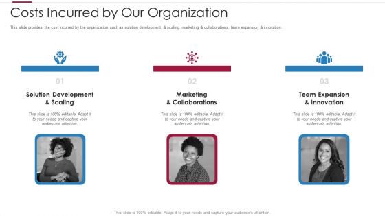 Non Profit Making Capital Raising Contributors Costs Incurred By Our Organization Professional PDF