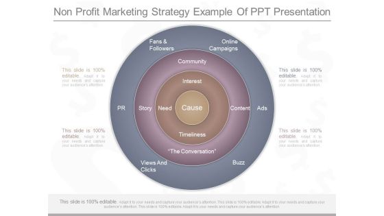Non Profit Marketing Strategy Example Of Ppt Presentation