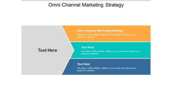 Omni Channel Marketing Strategy Ppt PowerPoint Presentation File Portfolio Cpb