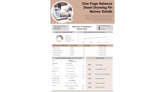 One Page Balance Sheet Showing Pin Money Details PDF Document PPT Template One Page Balance Sheet Showing Pin Money Details PDF Document PPT Template