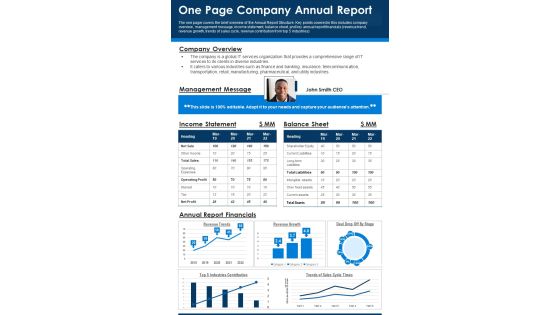 One Page Company Annual Report PDF Document PPT Template One Page Company Annual Report PDF Document PPT Template