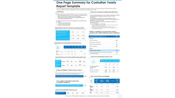 One Page Summary For Custodian Yearly Report Template One Pager Documents