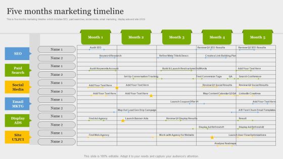 Online Application Development Five Months Marketing Timeline Infographics PDF Online Application Development Five Months Marketing Timeline Infographics PDF