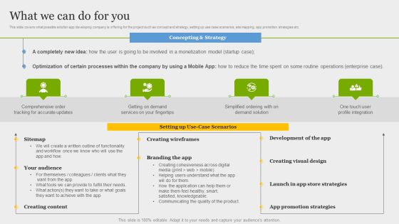 Online Application Development What We Can Do For You Microsoft PDF