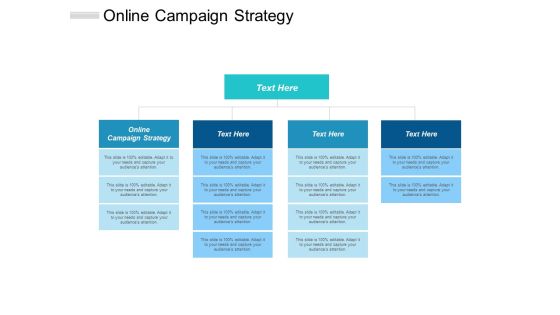 Online Campaign Strategy Ppt PowerPoint Presentation Pictures Graphics Tutorials Cpb