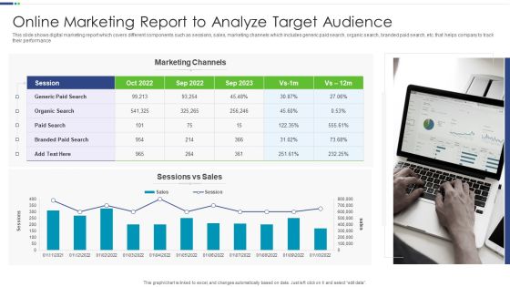 Online Marketing Report To Analyze Target Audience Elements PDF Online Marketing Report To Analyze Target Audience Elements PDF