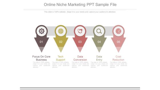 Online Niche Marketing Ppt Sample File Online Niche Marketing Ppt Sample File