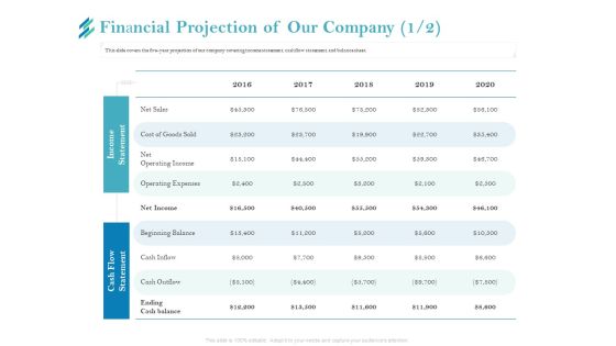 Online Payment Platform Financial Projection Of Our Company Net Elements PDF Online Payment Platform Financial Projection Of Our Company Net Elements PDF
