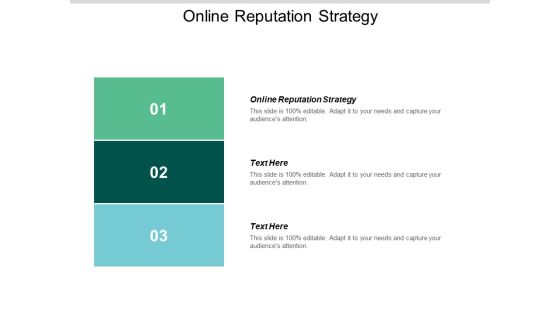 Online Reputation Strategy Ppt PowerPoint Presentation File Background Images Cpb