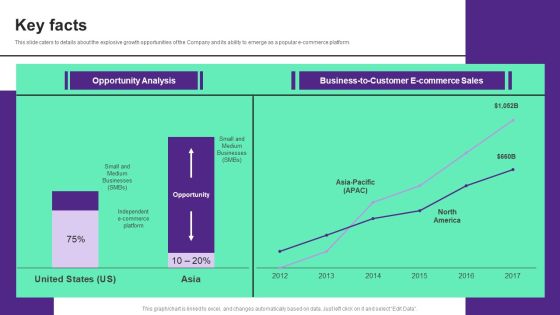 Online Store Investment Pitch Deck Key Facts Elements PDF Online Store Investment Pitch Deck Key Facts Elements PDF