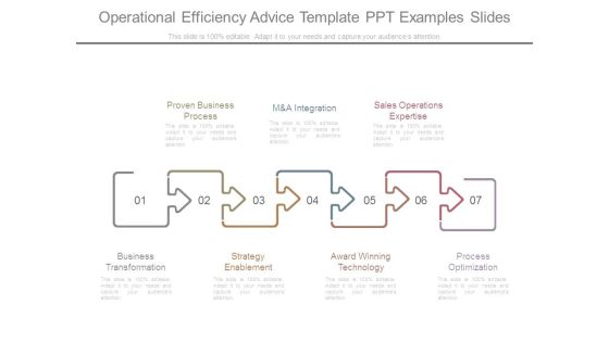 Operational Efficiency Advice Template Ppt Examples Slides Operational Efficiency Advice Template Ppt Examples Slides