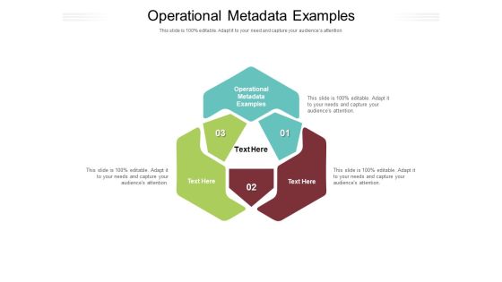 Operational Metadata Examples Ppt PowerPoint Presentation Inspiration File Formats Cpb Pdf Operational Metadata Examples Ppt PowerPoint Presentation Inspiration File Formats Cpb Pdf