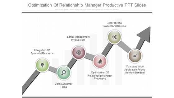 Optimization Of Relationship Manager Productive Ppt Slides Optimization Of Relationship Manager Productive Ppt Slides