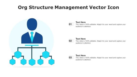 Org Structure Management Vector Icon Ppt Model Demonstration PDF Org Structure Management Vector Icon Ppt Model Demonstration PDF