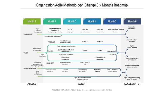 Organization Agile Methodology Change Six Months Roadmap Brochure Organization Agile Methodology Change Six Months Roadmap Brochure