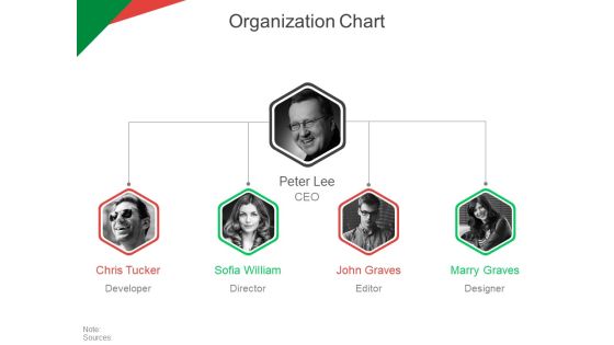 Organization Chart Ppt PowerPoint Presentation Ideas Tips