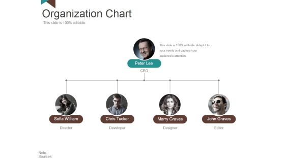 Organization Chart Ppt PowerPoint Presentation Styles Outfit