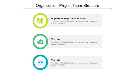 Organization Project Team Structure Ppt PowerPoint Presentation Inspiration Portfolio Cpb Organization Project Team Structure Ppt PowerPoint Presentation Inspiration Portfolio Cpb