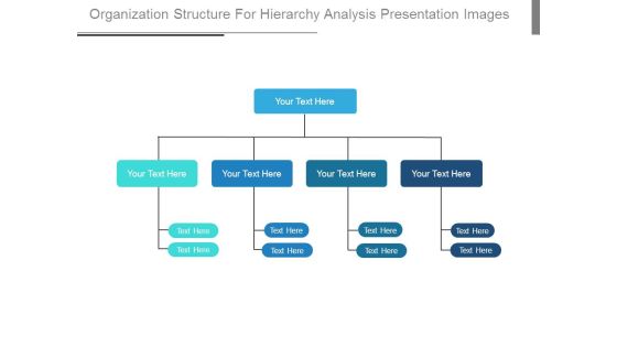 Organization Structure For Hierarchy Analysis Presentation Images Organization Structure For Hierarchy Analysis Presentation Images